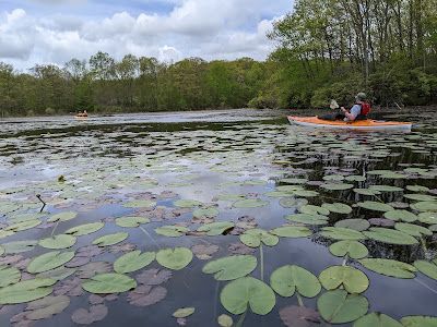 California Hill State Forest