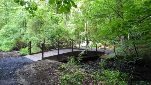 Brandwein Nature Learning Preserve