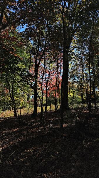 Target Rock National Wildlife Refuge