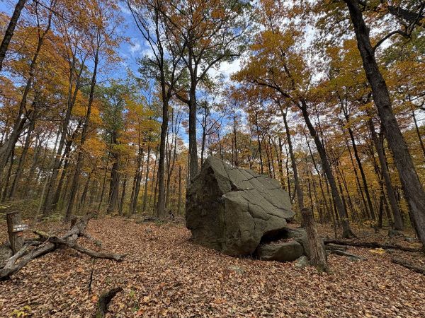 Woodfield Reservation