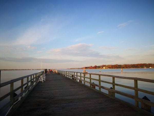 Theodore Roosevelt Memorial Park