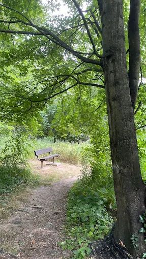 Lime Kiln Alley Park
