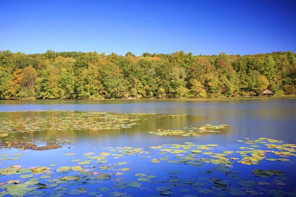 Teatown Lake Reservation