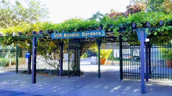 UC Riverside Botanic Gardens