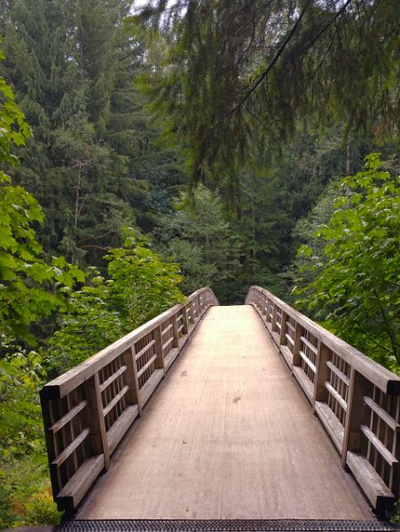 Wildwood Picnic Site