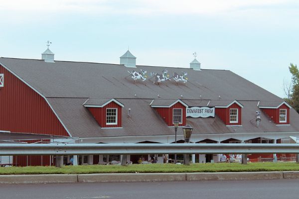 Orchard of Lights Entry Point