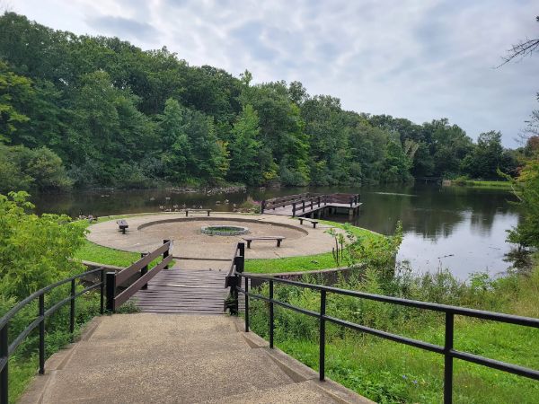 Willow Tree Town Park
