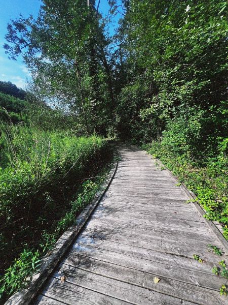 Shrub Oak Memorial Park
