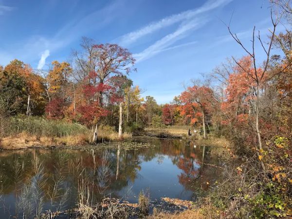Tulpehaking Nature Center