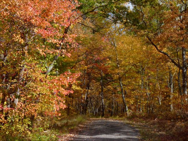 Dryden Kuser Natural Area