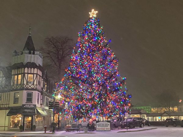 Ridgewood Christmas Tree