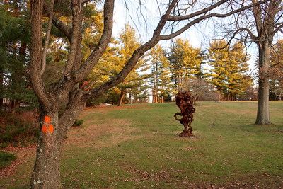 Hart’s Brook Park and Preserve