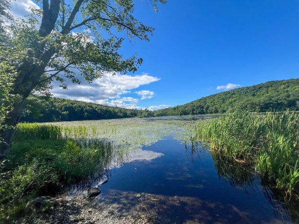 Ryker Lake - Sparta Mountain