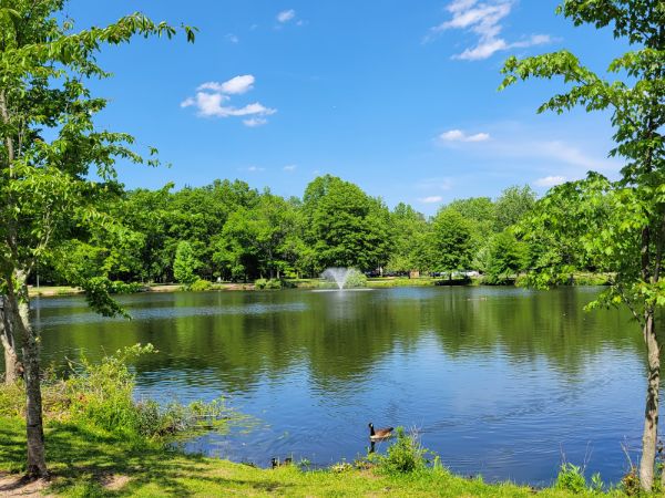 Wood Dale County Park