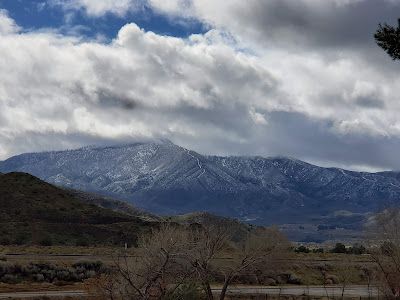 Acton Wash Wildlife Sanctuary
