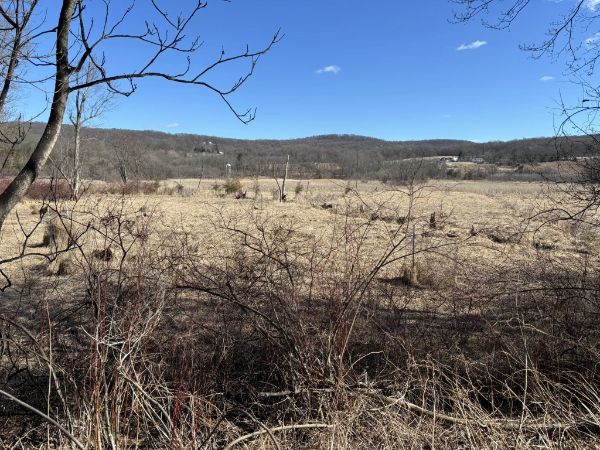 Timberdoodle Trail Parking