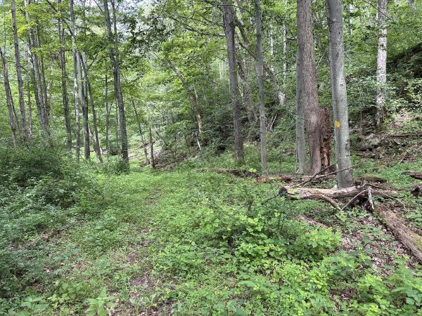 Greendell Ridge Preserve Trailhead