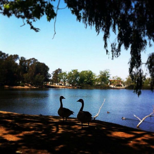 Shipley Nature Center