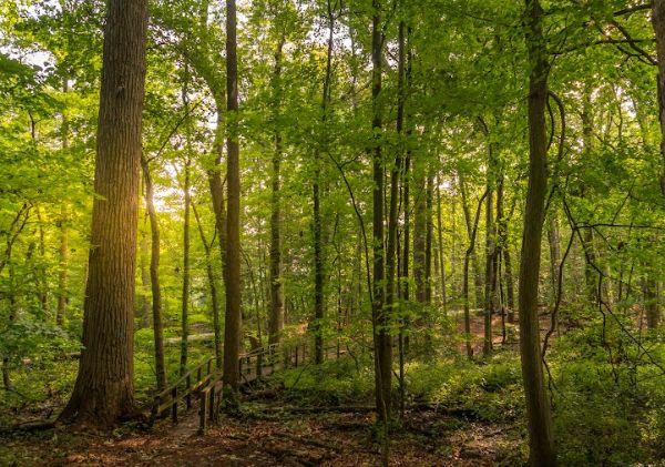 Weinberg Nature Center