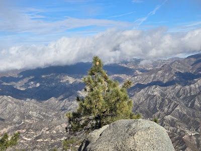 Strawberry trail Red heart Rock