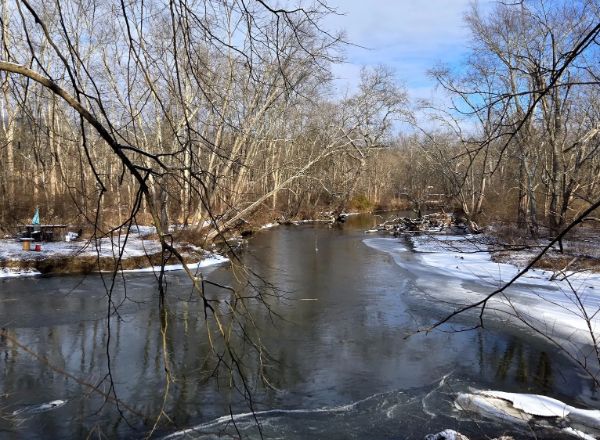 Paulinskill River Wildlife Management Area