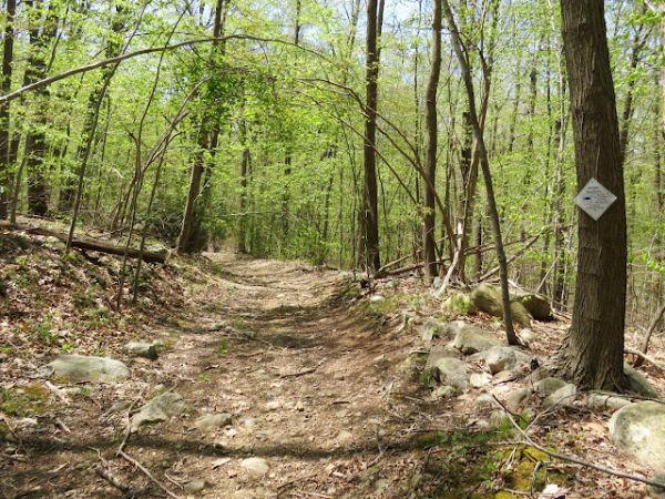 Russia Brook Sanctuary