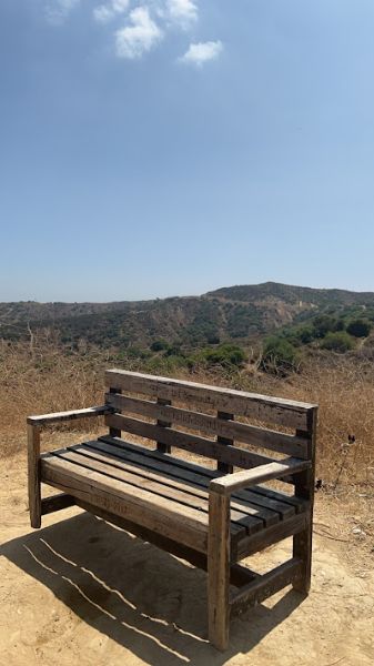 Ben's Bench