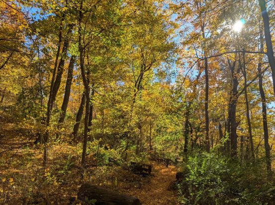 Castle Rock Unique Area