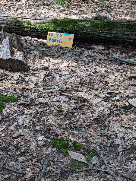 Harrison Williams Woods