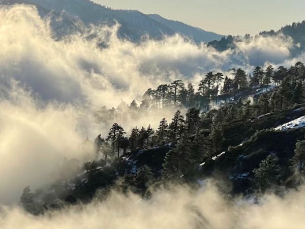 Blue Ridge Vista Point