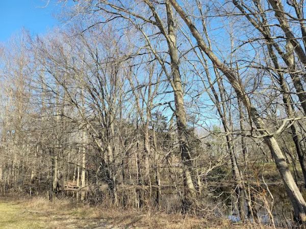 Ireland Brook Conservation Area