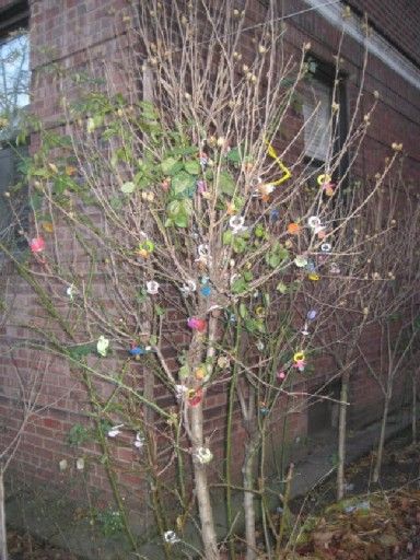 The Pacifier Tree