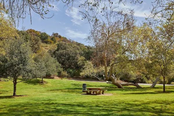 Mineral Wells Picnic Area