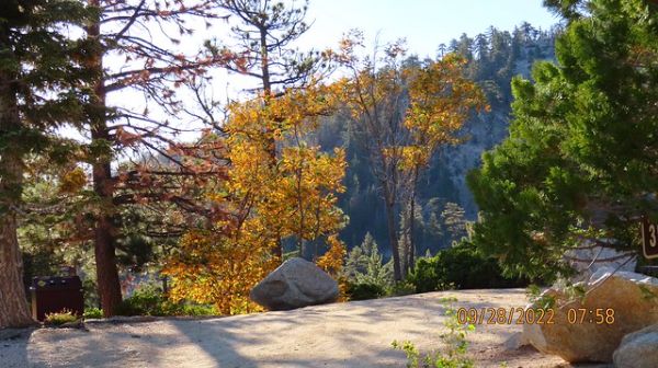 Buckhorn Day Use Area