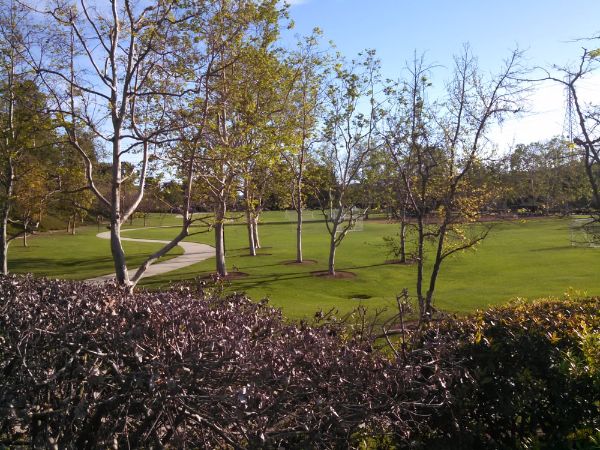 Sheep Hills Park