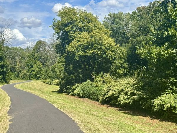 Lenape Woods Nature Preserve