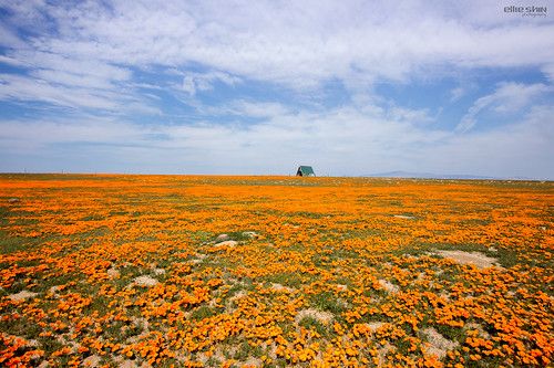 Antelope Trail north loop