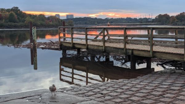 Edison Boat Basin And River Walk