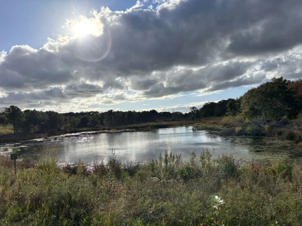 Cold Brook Nature Preserve
