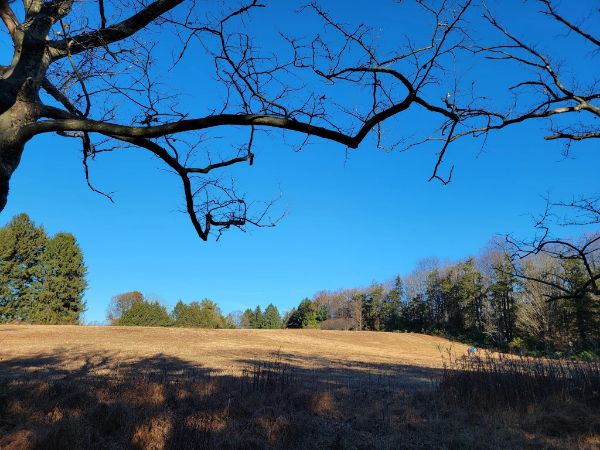 Greenway Meadows Park
