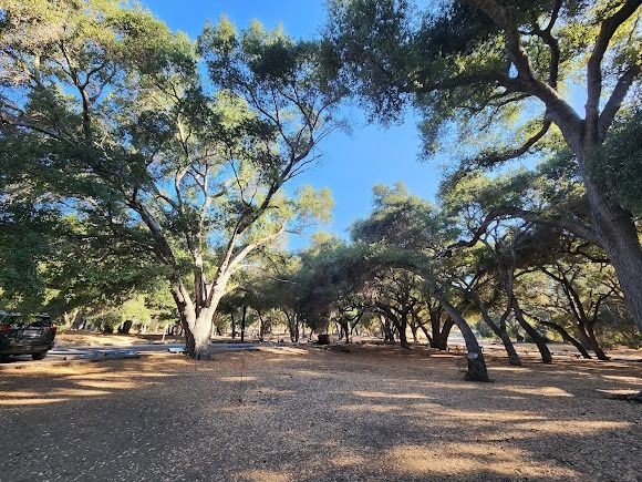 Tapia Park Public Use Area