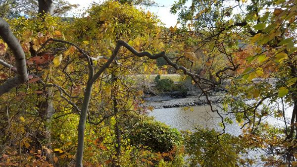 Manitou Point Preserve