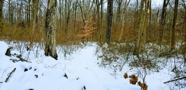 Omick Woods Hiking Trail