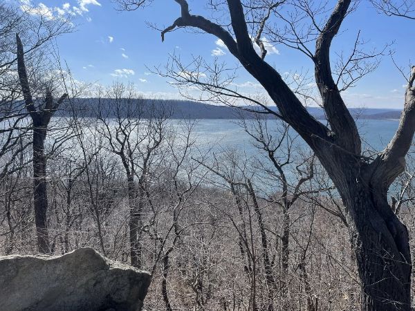 Cushetunk Mountain Preserve