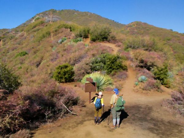 Strawberry saddle trail