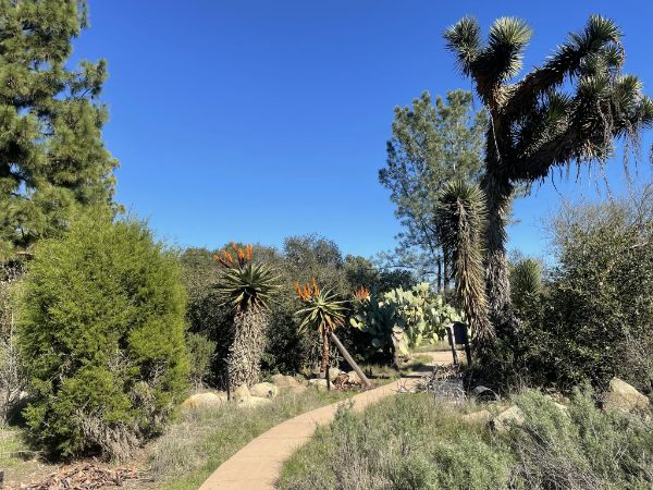 Turtle Rock Nature Center