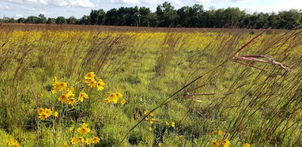 TT&C Preservation Land