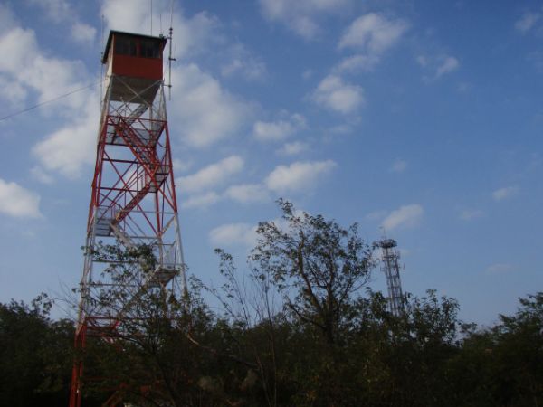 Culver Fire Tower