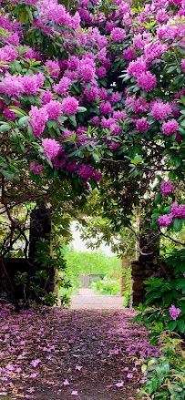 Cross Estate Gardens