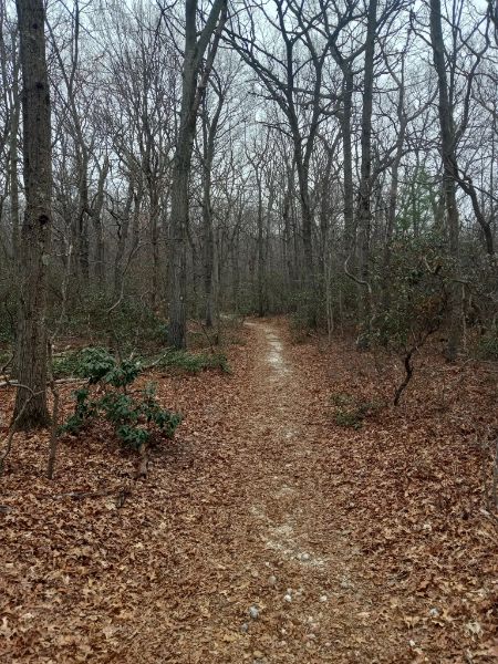 West Hills County Park